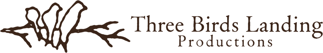 Three Birds Landing Productions